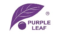 Purple Leaf